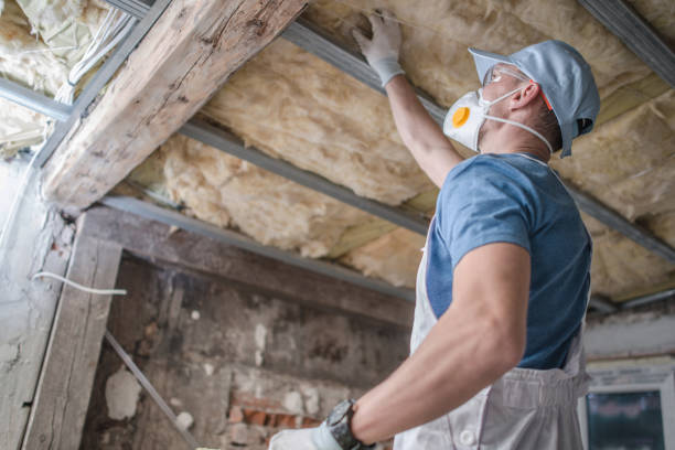 Best Geographic-Specific Insulation Services in Oakhurst, OK